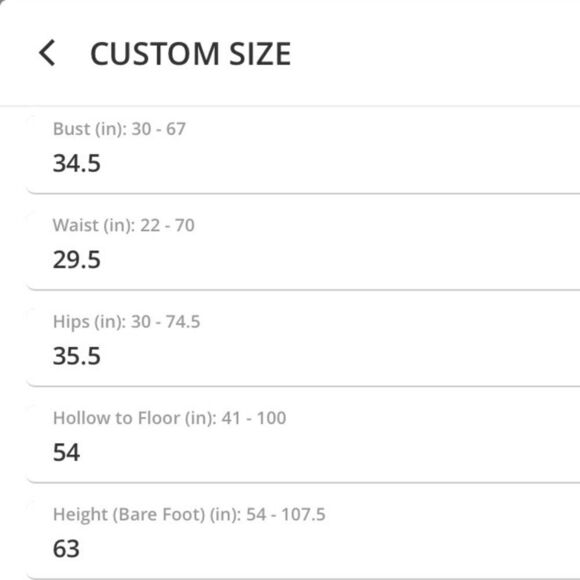 A-Line Lace Chiffon Bridesmaid Wedding Dress Dusty Rose - Picture 10 of 13